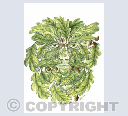 Greenman Oak 