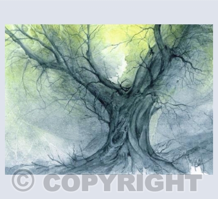 Ancient Oak 