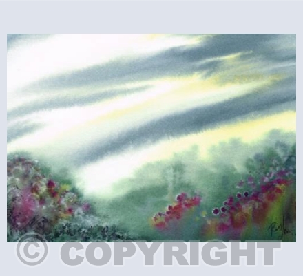 Moorland Colours