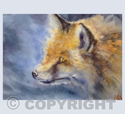 Reynard 