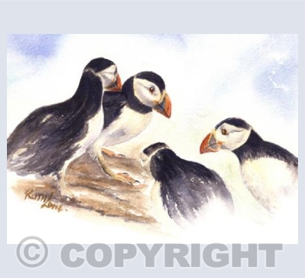 Puffin Meeting 