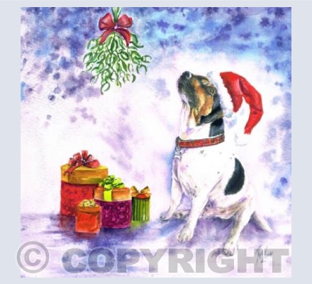 Doobey Sq Christmas