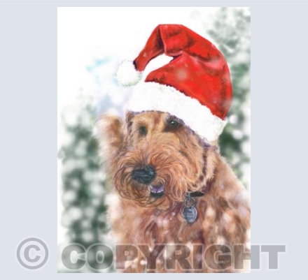 PG Christmas 