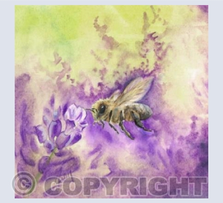 Purple Bee Sq