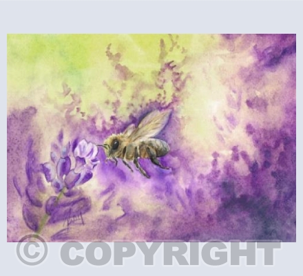 Purple Bee