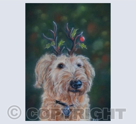 Merry Christmas from PG 