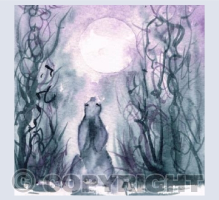Full Moon 