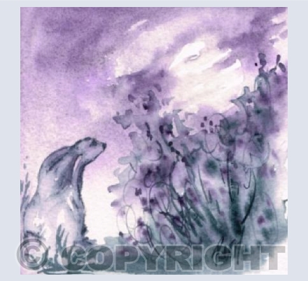 Moonrise Hare 