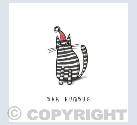 Bah Humbug cat