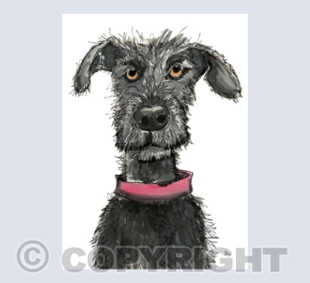 Gotta love a scruffy dog
