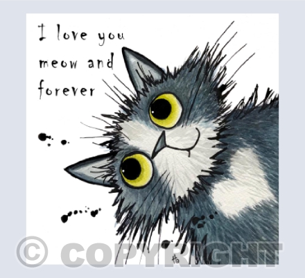 I love you meow and forever