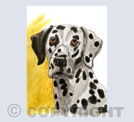 Gotta love a dalmatian