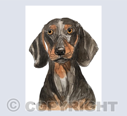 Gotta love a dachshund