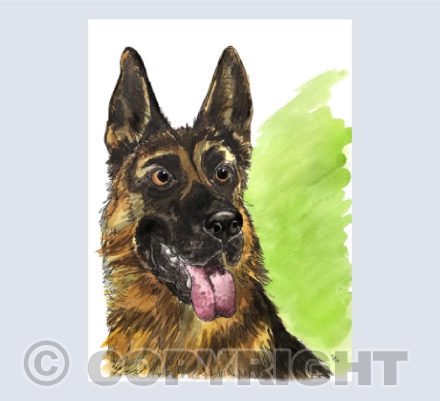 Gotta love a german shepherd