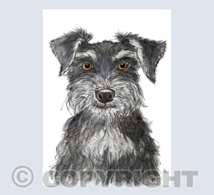 Schnauzers, gotta love them
