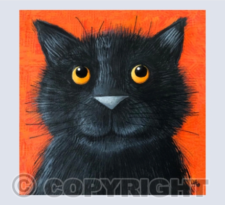 Furball under the table