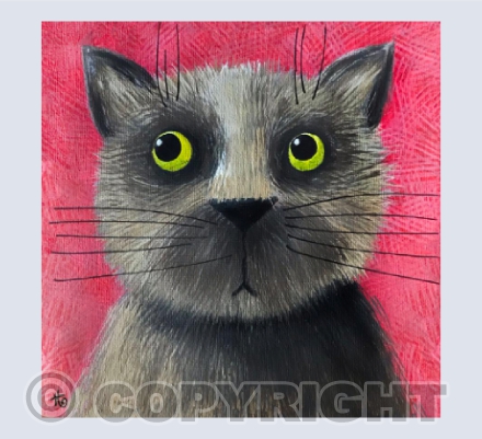 Not going out its raining