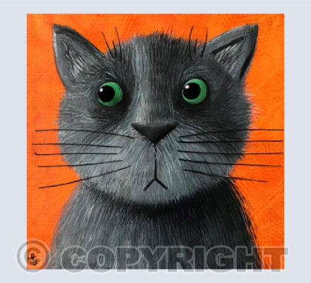 Not going in the pet carrier box