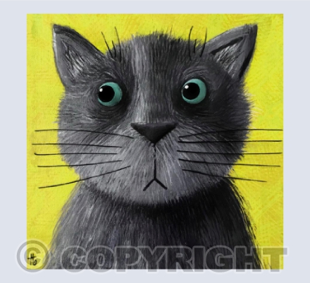 No way am I getting in that pet carrier box