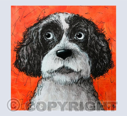 Doodle doggo