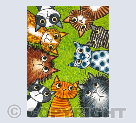 which way did the mouse go?