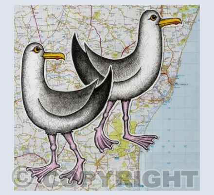 Southwold Gulls