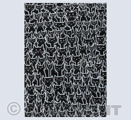 maybe cats operating in gangs