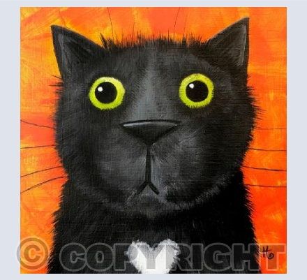 Can you have too much cat nip?