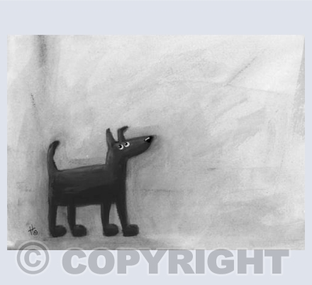 Little black dog