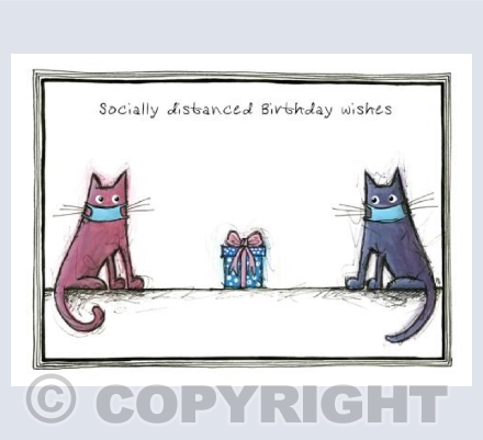 Socially Distanced Birthday Wishes - cats present
