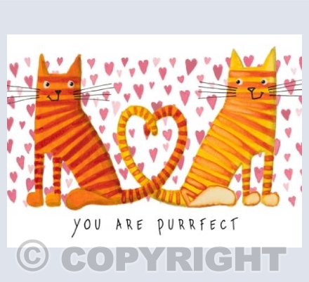 You are purrfect