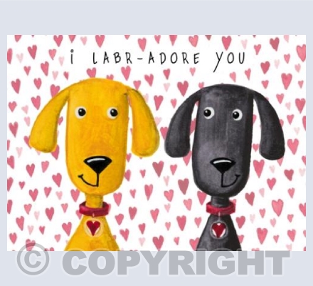 I labr-adore you