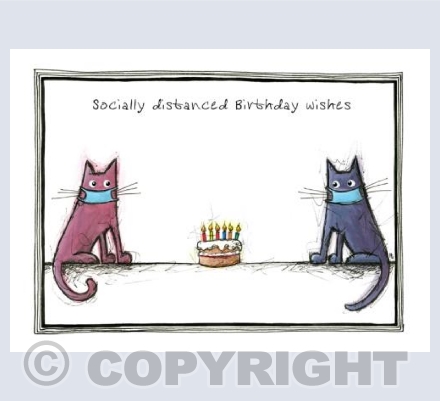 Socially Distanced Birthday Wishes - cats cake