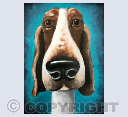 Big nosed hound