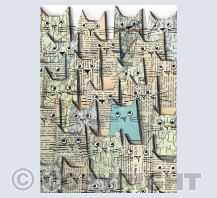 Map Cats