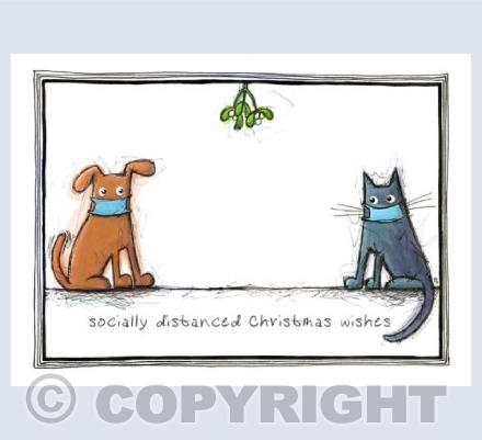 ~socially distanced Christmas wishes dog and cat
