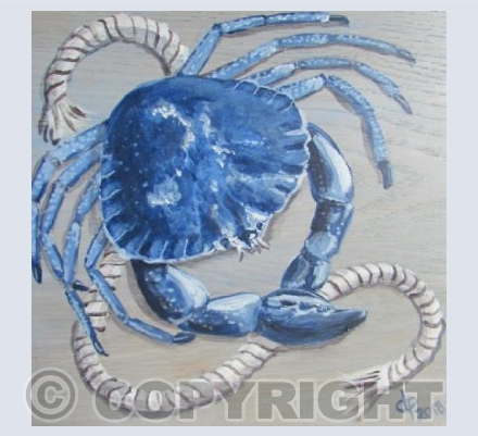 Blue Crab