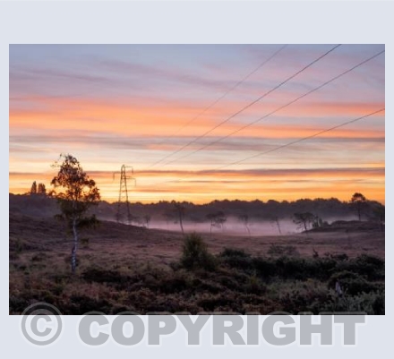 Upton Heath Misty Sunrise #1