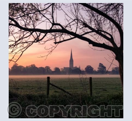 Salisbury Cathedral, Wiltshire #3