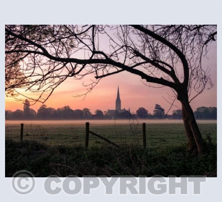 Salisbury Cathedral, Wiltshire #3a