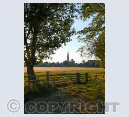 Salisbury Cathedral, Wiltshire #6