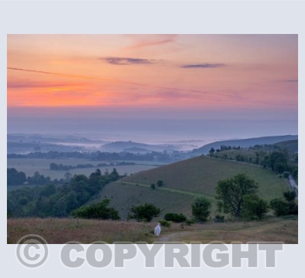 Cranborne Chase Misty Sunrise #1