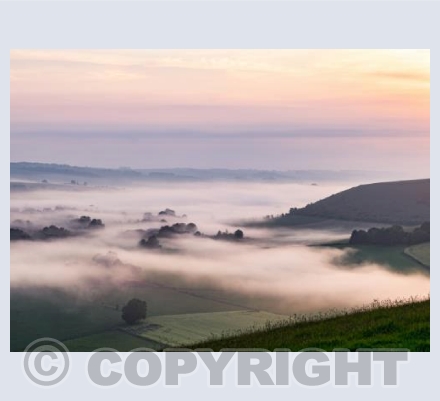 Cranborne Chase Misty Sunrise #4