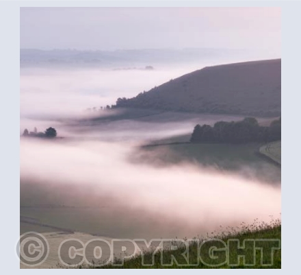 Cranborne Chase Misty Sunrise #6