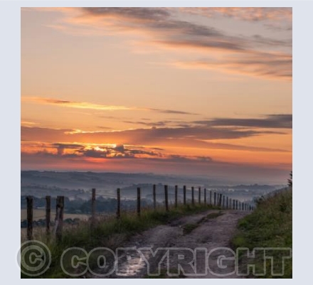 Cranborne Chase Misty Sunrise #7
