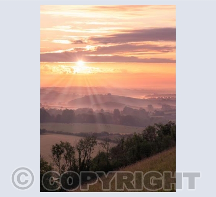 Cranborne Chase Misty Sunrise #8