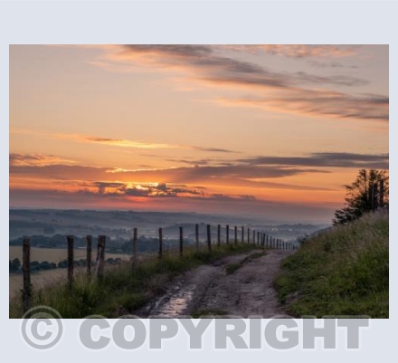 Cranborne Chase Misty Sunrise #7