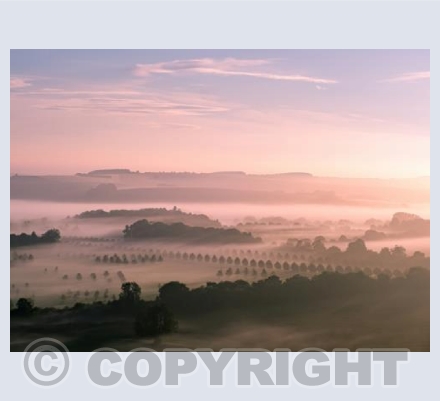 Cranborne Chase Misty Sunrise #9