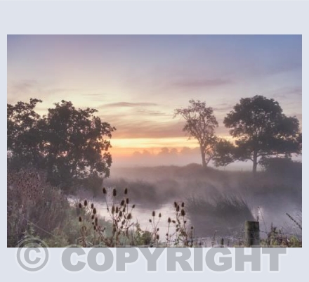 Stour Misty Sunrise #2