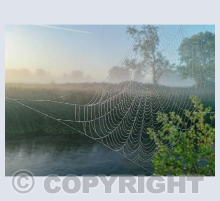 Stour Sunrise with cobweb #1